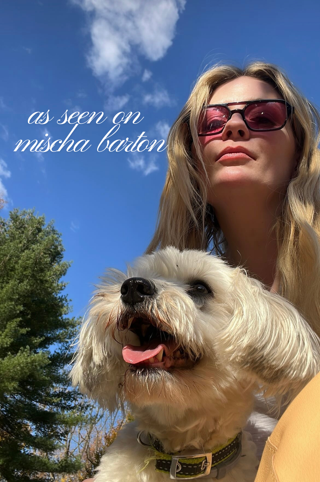 Ice Cube / Pink by INDY – Cute Affordable Unisex Aviator Sunglasses