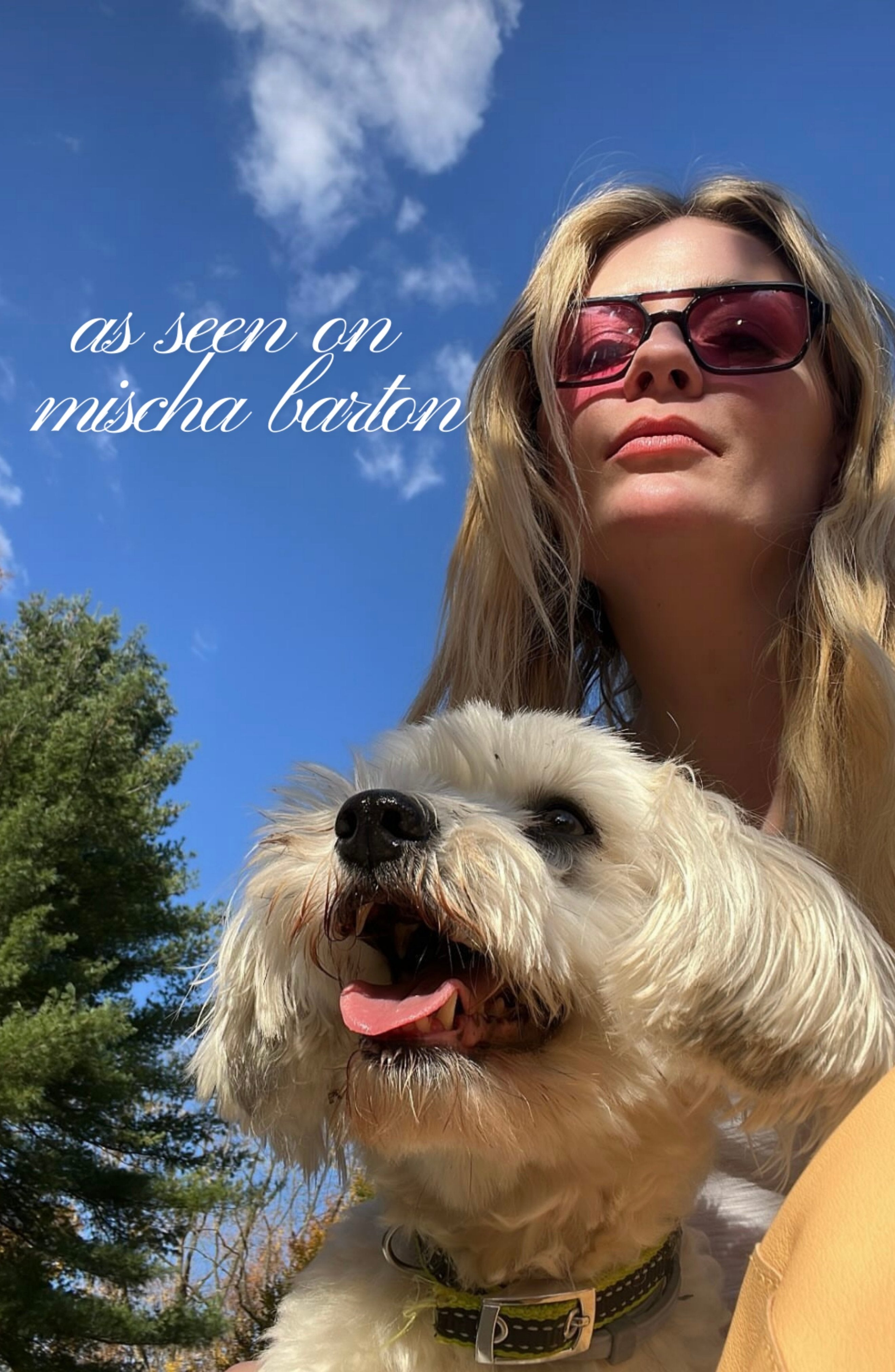 Ice Cube / Black Cherry by INDY Sunglasses – Polarized Sunglasses for Women